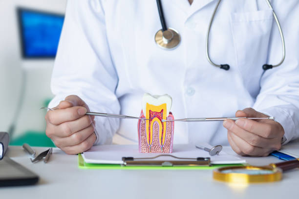 Best Chipped Tooth Repair Near Me  in Hialeah, FL
